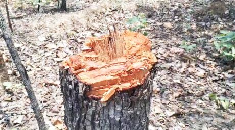 1718368877IMG_20240614_095337.jpg 1718368877IMG_20240614_095337.jpg