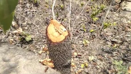 1718368877IMG_20240614_095354.jpg 1718368877IMG_20240614_095354.jpg