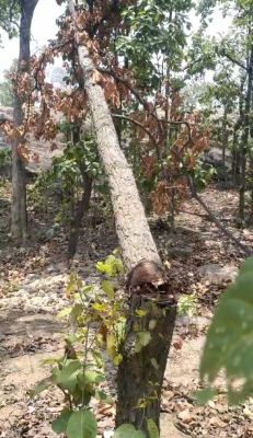 1718368877IMG_20240614_095407.jpg 1718368877IMG_20240614_095407.jpg