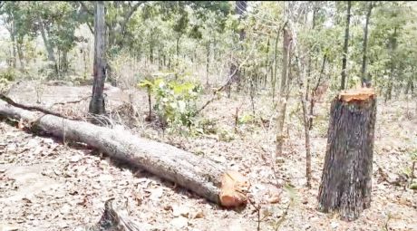 1718368877IMG_20240614_095423.jpg 1718368877IMG_20240614_095423.jpg