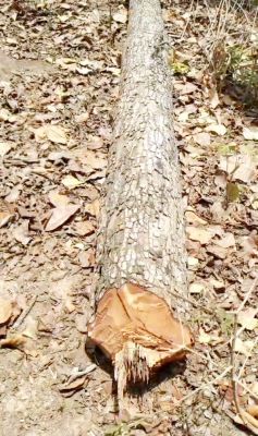 1718368877IMG_20240614_095439.jpg 1718368877IMG_20240614_095439.jpg