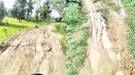 172241988331-1.jpg 172241988331-1.jpg