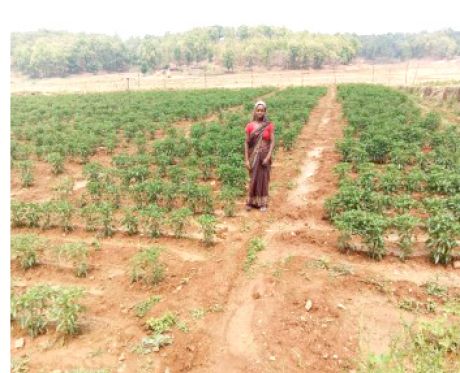 17271693430006.jpg 17271693430006.jpg