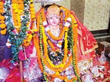 17282933900176.jpg 17282933900176.jpg