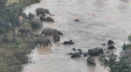 173053720402.jpg 173053720402.jpg