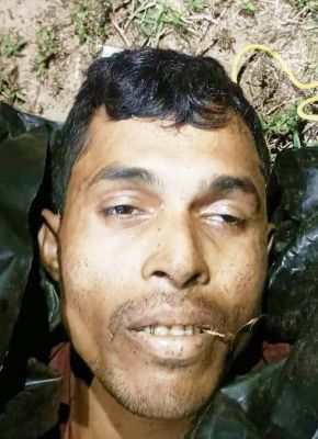 17311496450002.jpg 17311496450002.jpg