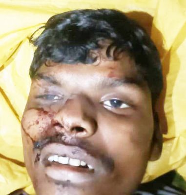 17311496450003.jpg 17311496450003.jpg