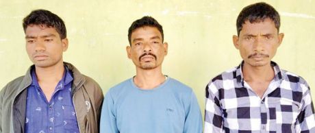 1732898684b-2.jpg 1732898684b-2.jpg