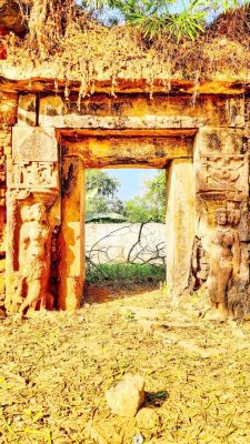 17362391750026.jpg 17362391750026.jpg