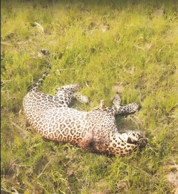 17471367631.jpg 17471367631.jpg