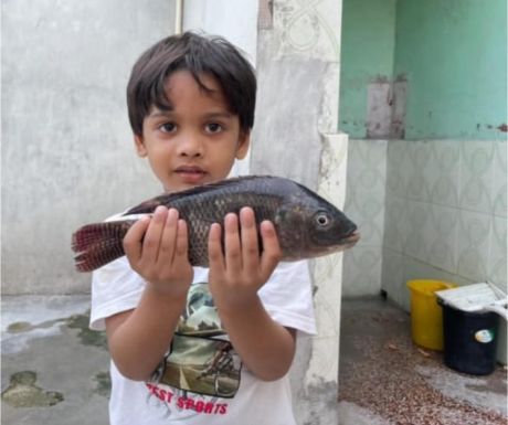 1748516196006.jpg 1748516196006.jpg