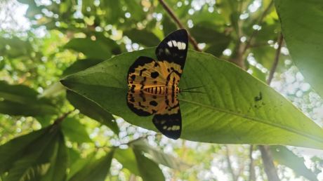 1760348641gariaband-1.jpg 1760348641gariaband-1.jpg