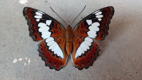 1760348641gariaband-2.jpg 1760348641gariaband-2.jpg