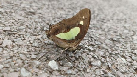 1760348641gariaband-4.jpg 1760348641gariaband-4.jpg