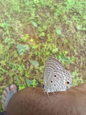 1760348641gariaband-5.jpg 1760348641gariaband-5.jpg