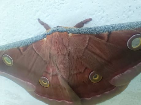 1760348641gariaband-6.jpg 1760348641gariaband-6.jpg