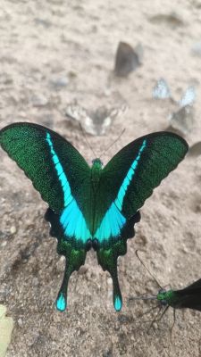 1760348641gariaband-7.jpg 1760348641gariaband-7.jpg