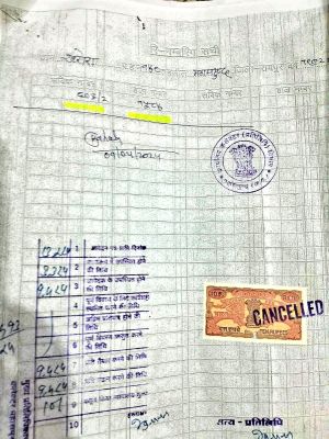 1763114779photo-4__a.jpg 1763114779photo-4__a.jpg