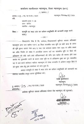 1763114779photo-4__b.jpg 1763114779photo-4__b.jpg