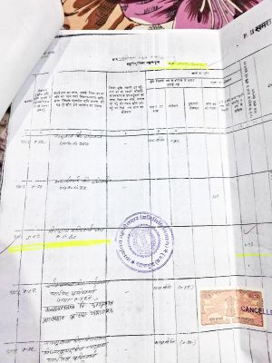 1763114780photo-4__g.jpg 1763114780photo-4__g.jpg