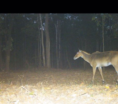 1771945842gariaband-1.jpg 1771945842gariaband-1.jpg