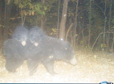 1771945842gariaband-2.jpg 1771945842gariaband-2.jpg