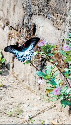 1771945842gariaband-4.jpg 1771945842gariaband-4.jpg