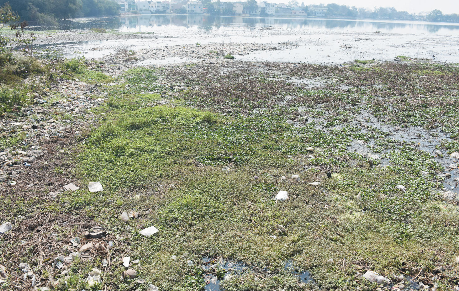 मैदान नहीं तालाब ...