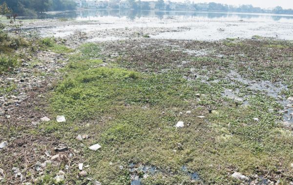 मैदान नहीं तालाब ...