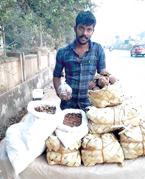 छत्तीसगढ़ की धड़कन और हलचल पर दैनिक कॉलम : राजपथ-जनपथ : दक्षिण भारत के गुड़ का स्वाद छत्तीसगढ़ की धड़कन और हलचल पर दैनिक कॉलम : राजपथ-जनपथ : दक्षिण भारत के गुड़ का स्वाद