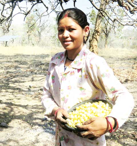 छत्तीसगढ़ की धड़कन और हलचल पर दैनिक कॉलम : राजपथ-जनपथ : महुआ की पुकार...