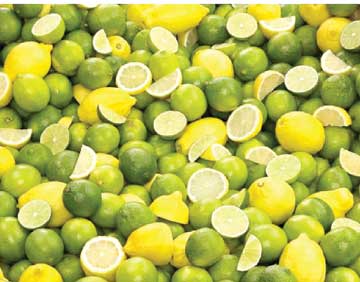छत्तीसगढ़ की धड़कन और हलचल पर दैनिक कॉलम : राजपथ-जनपथ : छत्तीसगढ़ के नींबू के भी दिन फिरे छत्तीसगढ़ की धड़कन और हलचल पर दैनिक कॉलम : राजपथ-जनपथ : छत्तीसगढ़ के नींबू के भी दिन फिरे