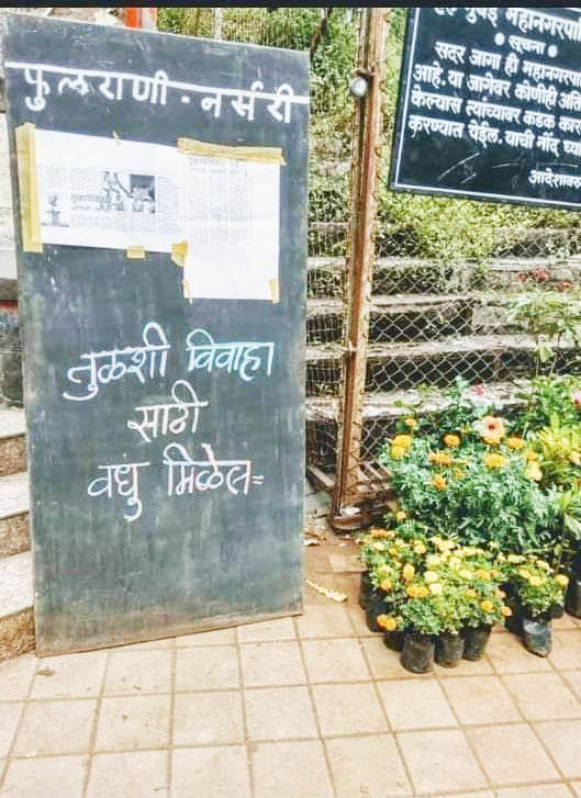 सोशल मीडिया
