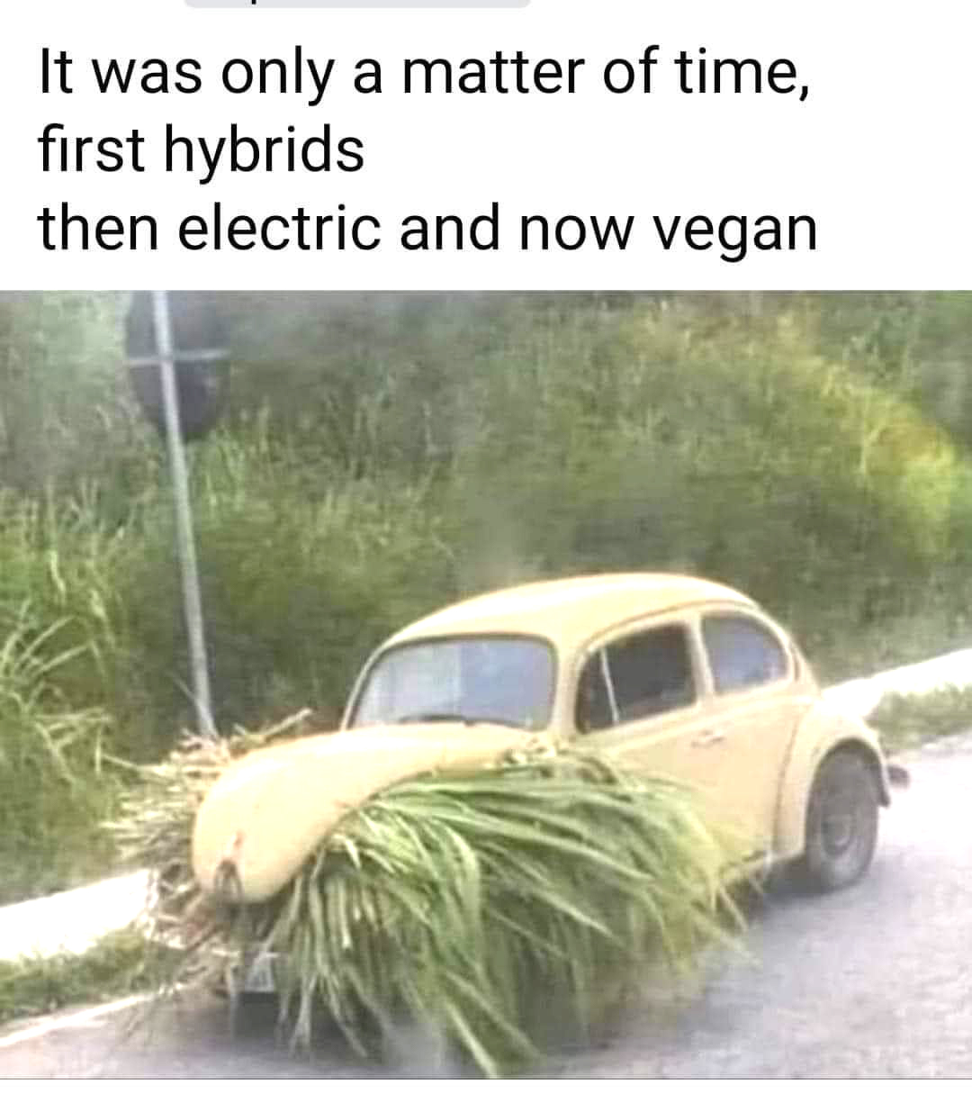 सोशल मीडिया