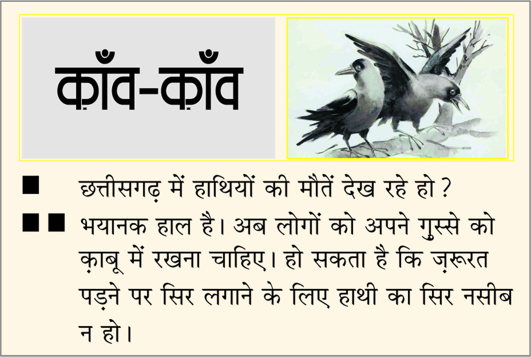 दैनिक 'छत्तीसगढ़' का काँव-काँव, 13 नवंबर