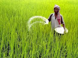 इतिहास में 23 दिसंबर इतिहास में 23 दिसंबर