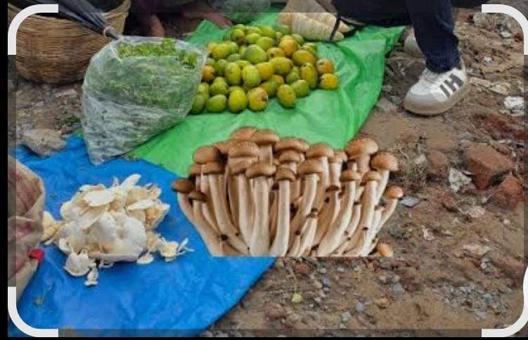 राजपथ-जनपथ : सरगुजा का स्वाद राजपथ-जनपथ : सरगुजा का स्वाद