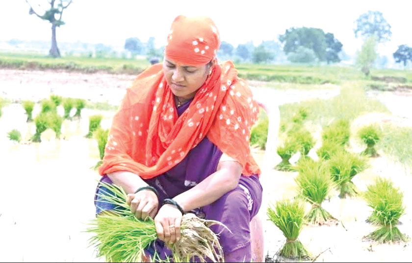 राजपथ-जनपथ: कुर्सी है ही ऐसी, कहीं छूटती नहीं राजपथ-जनपथ: कुर्सी है ही ऐसी, कहीं छूटती नहीं