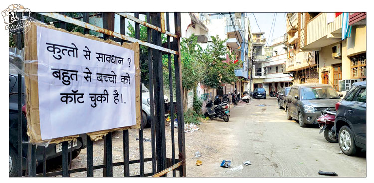 राजपथ-जनपथ : समस्या उन अधिकारियों की गलियों में नहीं है...