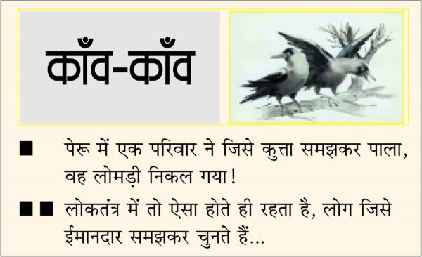 दैनिक 'छत्तीसगढ़' का काँव-काँव, 14 नवंबर