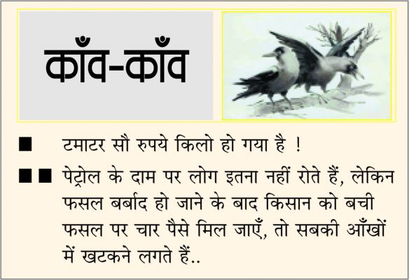 दैनिक 'छत्तीसगढ़' का काँव-काँव, 25 नवंबर