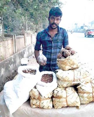 छत्तीसगढ़ की धड़कन और हलचल पर दैनिक कॉलम : राजपथ-जनपथ : दक्षिण भारत के गुड़ का स्वाद