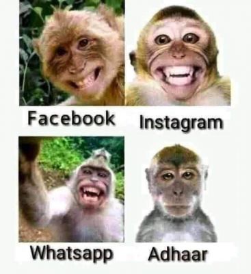 सोशल मीडिया