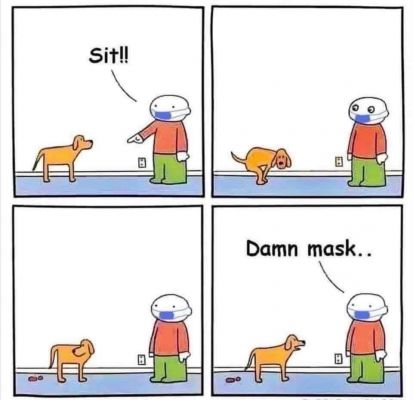 सोशल मीडिया