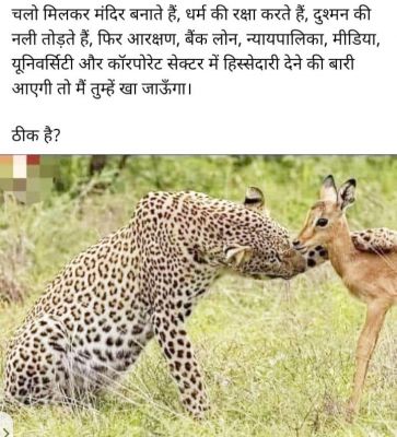 सोशल मीडिया