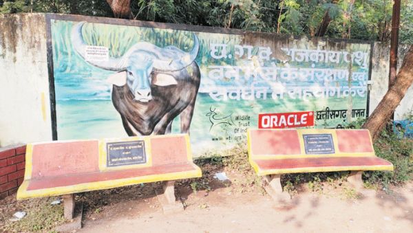 छत्तीसगढ़ की धड़कन और हलचल पर दैनिक कॉलम : राजपथ-जनपथ : जनता कैसा सहयोग करे?