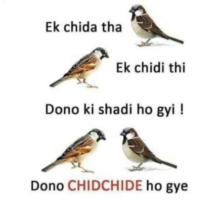 सोशल मीडिया