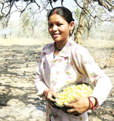 छत्तीसगढ़ की धड़कन और हलचल पर दैनिक कॉलम : राजपथ-जनपथ : महुआ की पुकार...