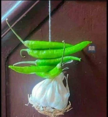 सोशल मीडिया