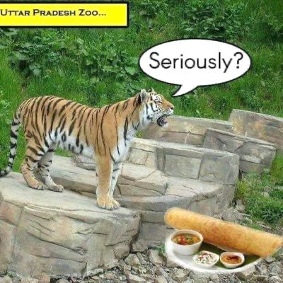 सोशल मीडिया